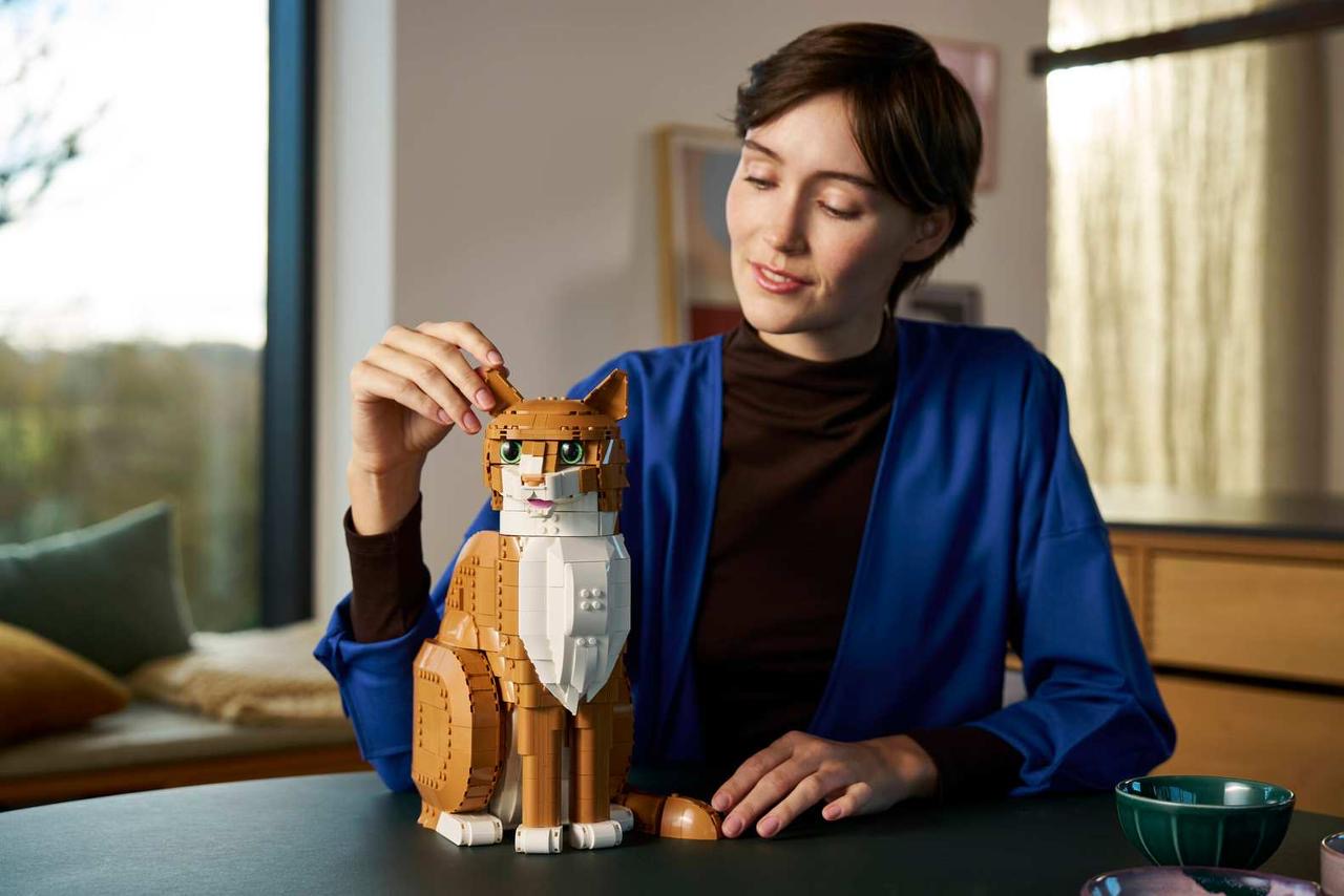 Ginger Cat