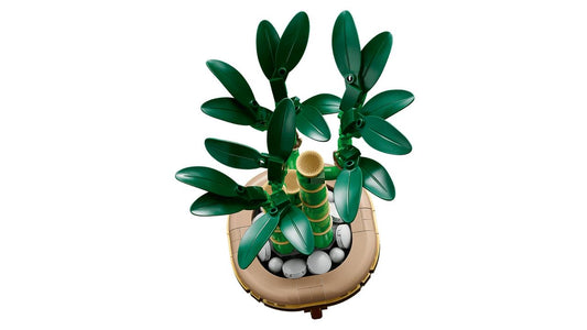Icons Lucky Bamboo