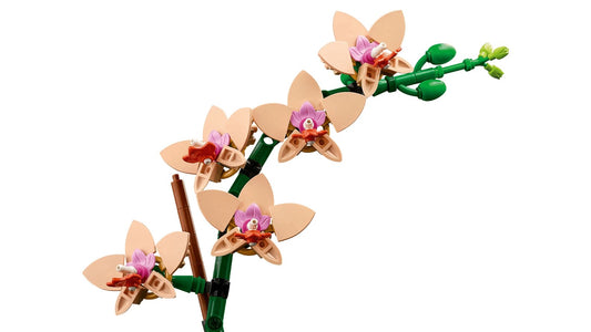 Icons Mini Orchid