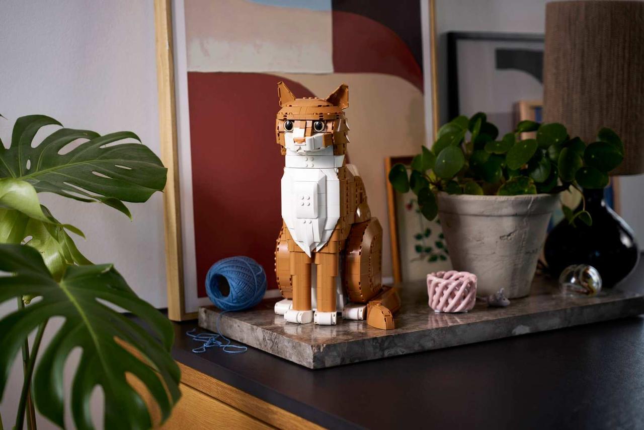 Ginger Cat