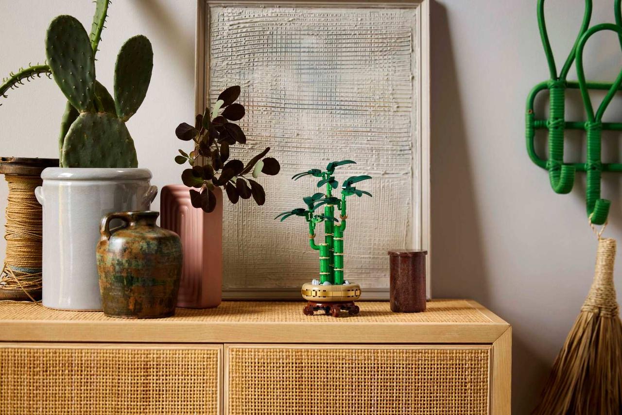 Icons Lucky Bamboo