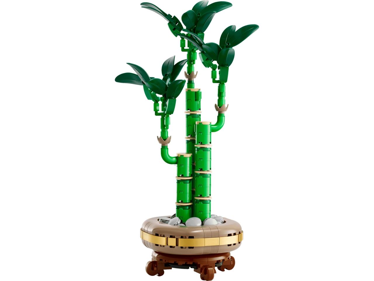 Icons Lucky Bamboo