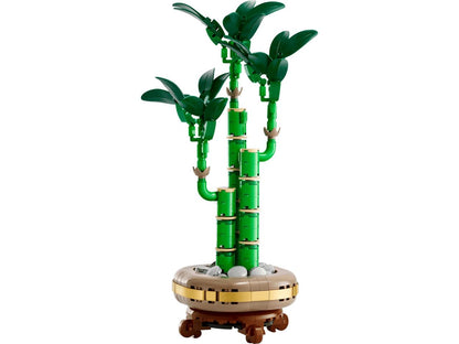 Icons Lucky Bamboo