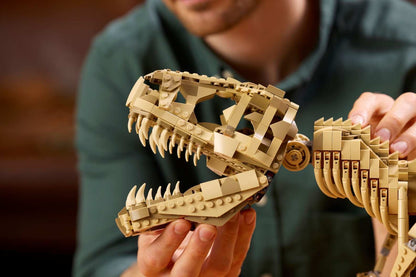 Jurassic Park T. rex Dinosaur Fossils