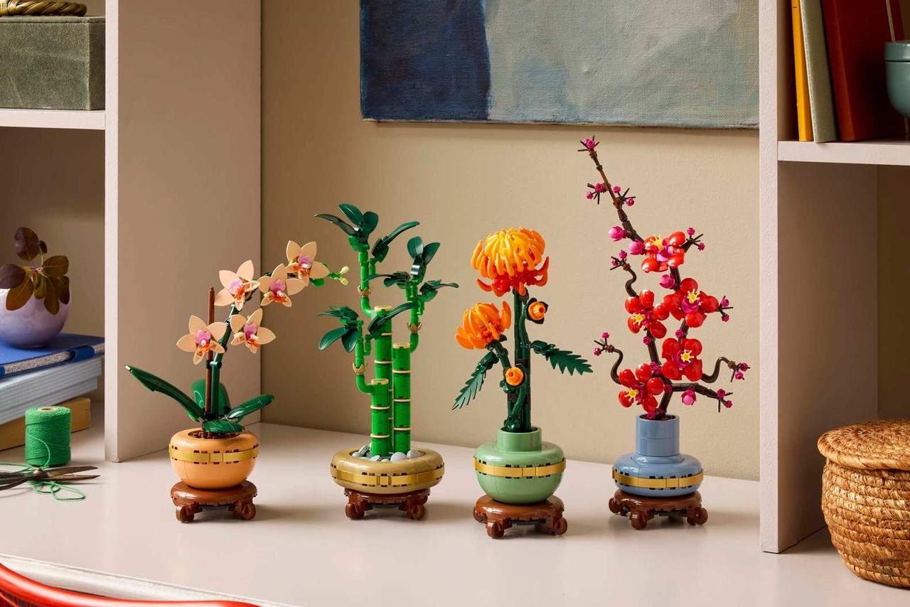 Icons Lucky Bamboo