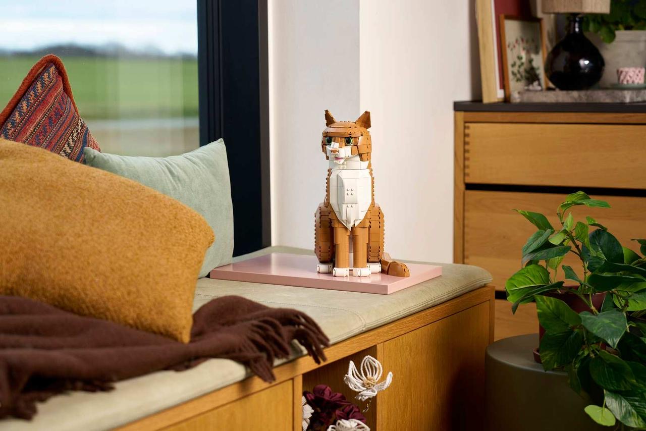 Ginger Cat