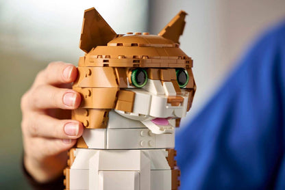 Ginger Cat