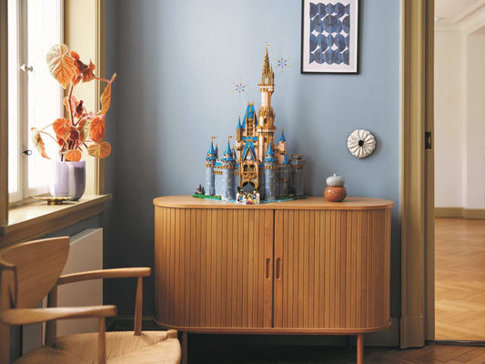 Disney Castle
