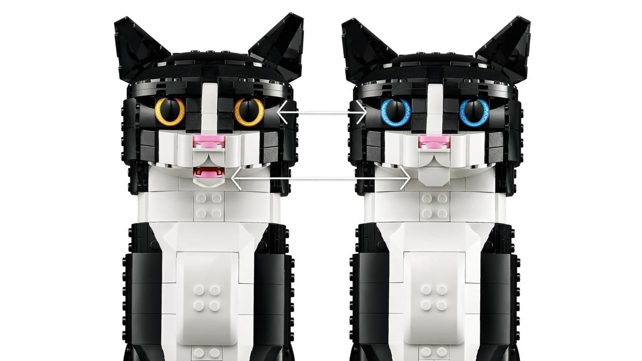 Tuxedo Cat