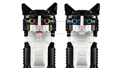 Tuxedo Cat