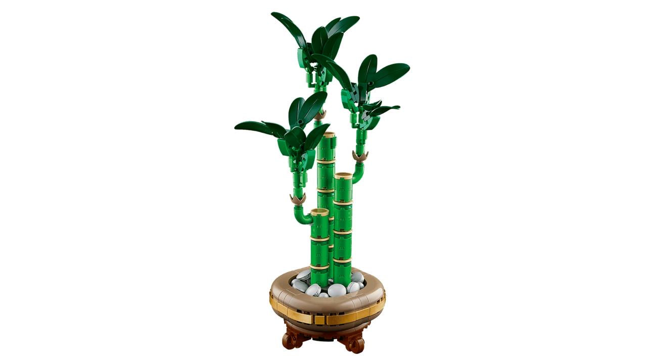 Icons Lucky Bamboo