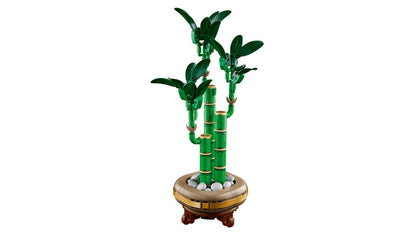 Icons Lucky Bamboo