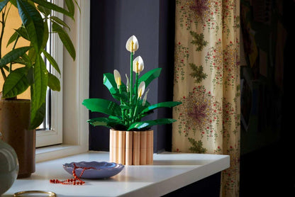 Icons Peace Lily
