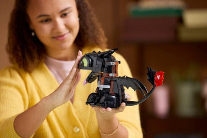 How to Train Your Dragon: Toothless
