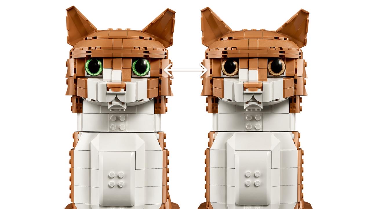 Ginger Cat