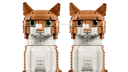 Ginger Cat