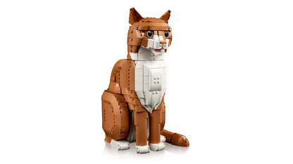 Ginger Cat