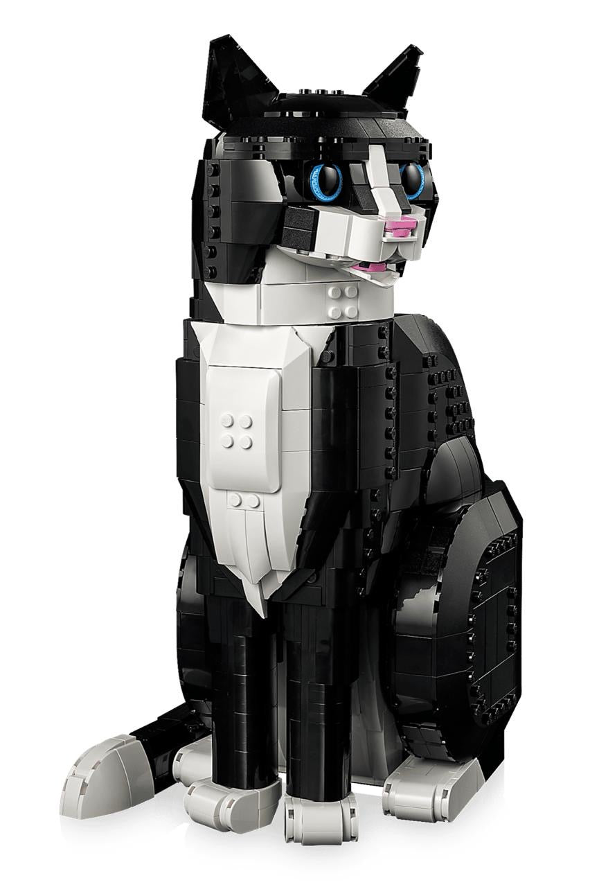 Tuxedo Cat
