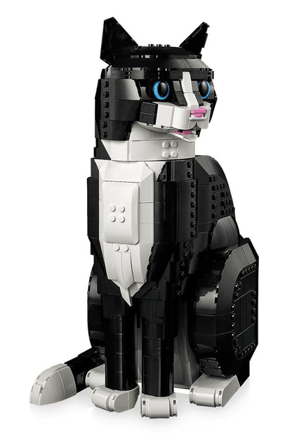 Tuxedo Cat