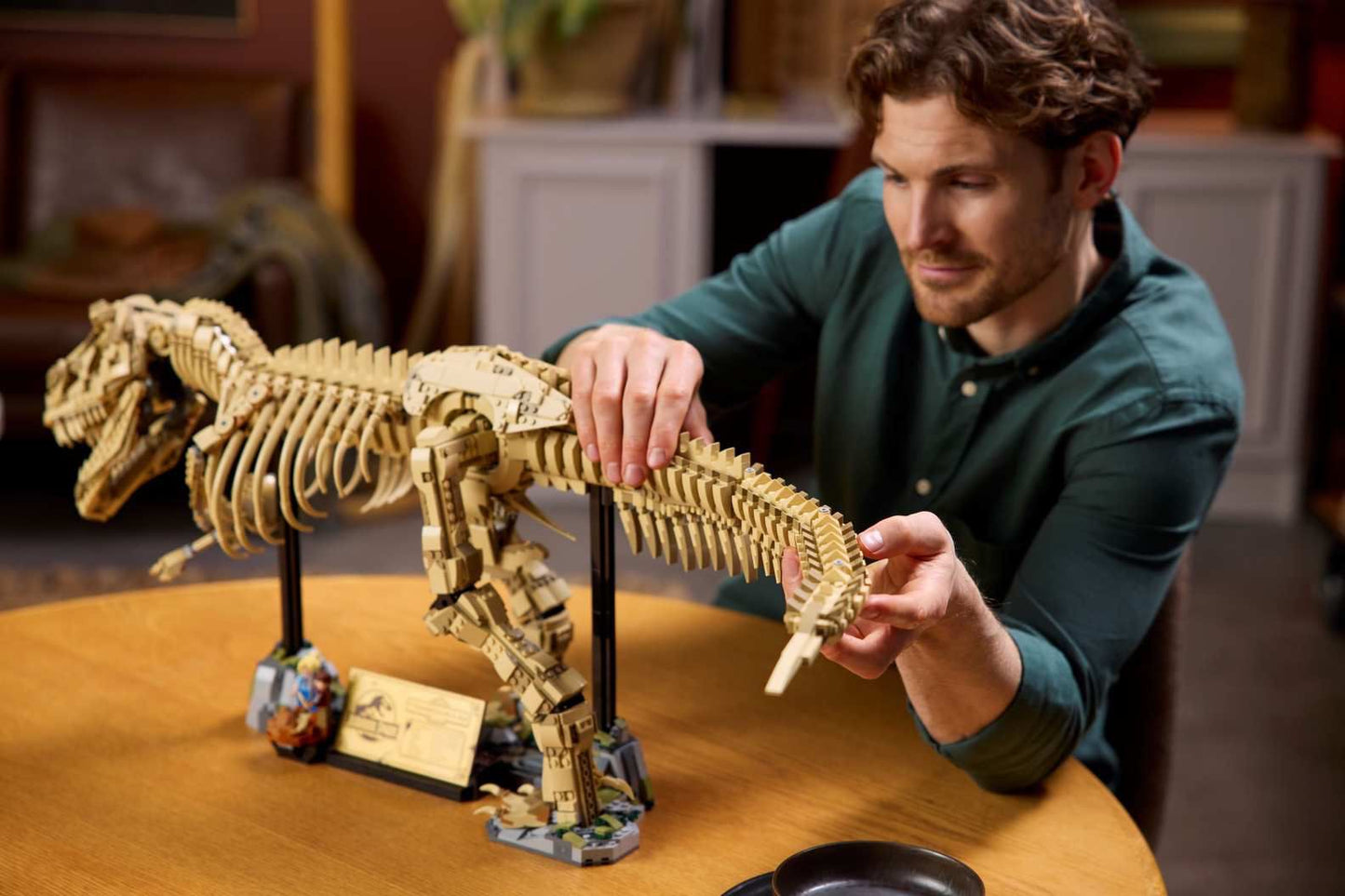 Jurassic Park T. rex Dinosaur Fossils