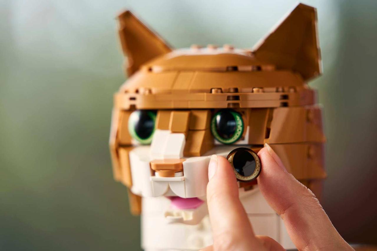 Ginger Cat
