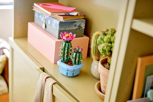 Flowering Cactus