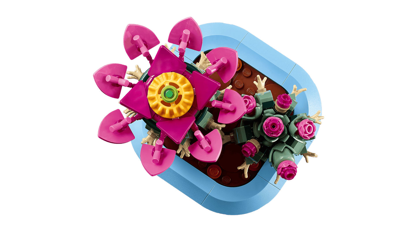 Flowering Cactus