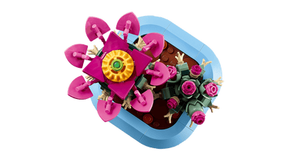 Flowering Cactus
