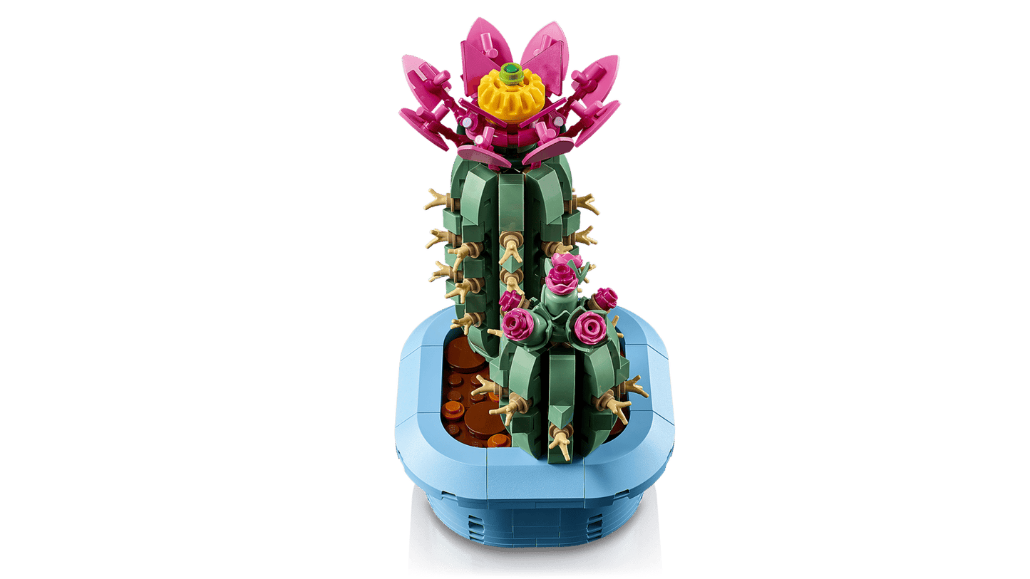 Flowering Cactus