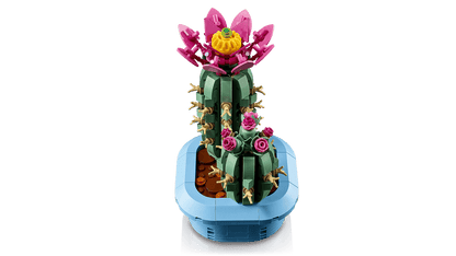 Flowering Cactus