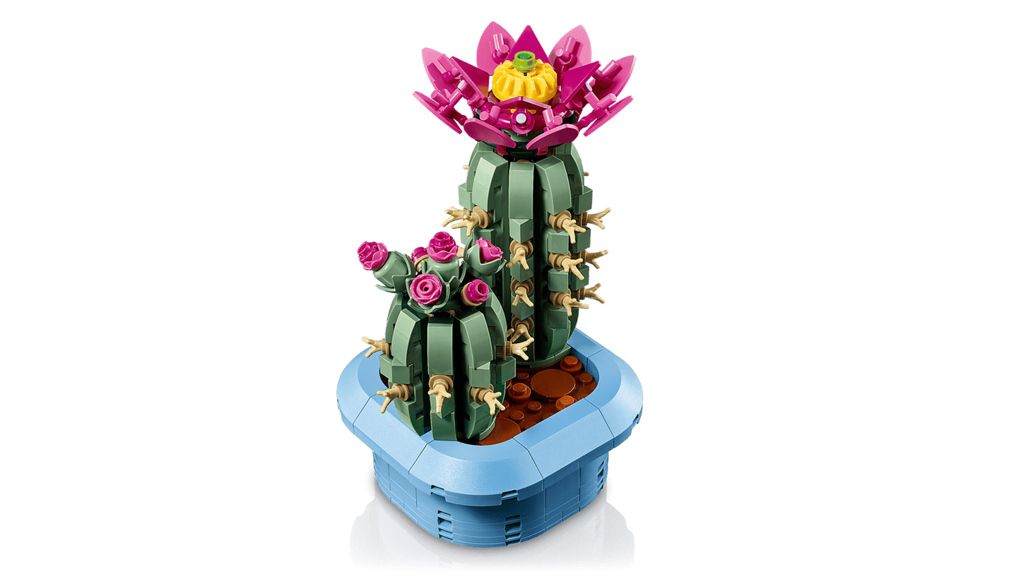 Flowering Cactus