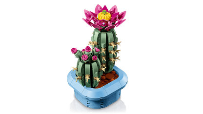 Flowering Cactus