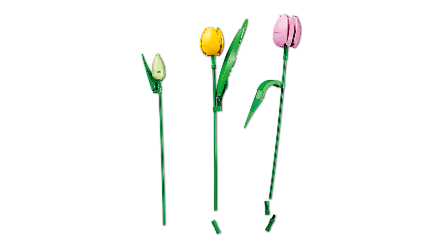 Tulip Bouquet