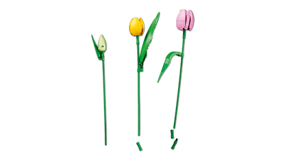 Tulip Bouquet