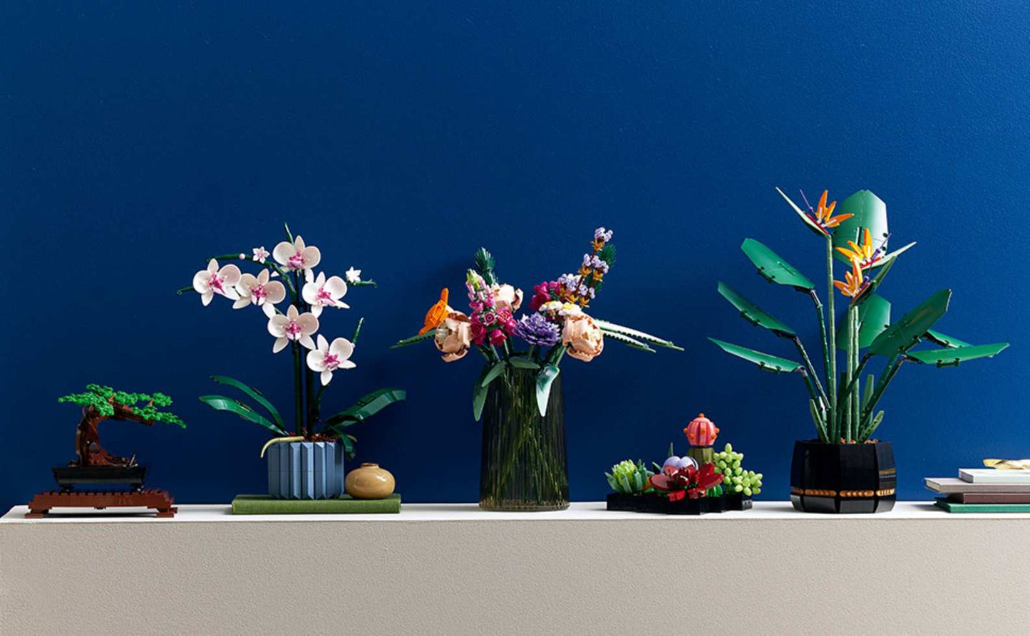 Botanical Collection Orchid