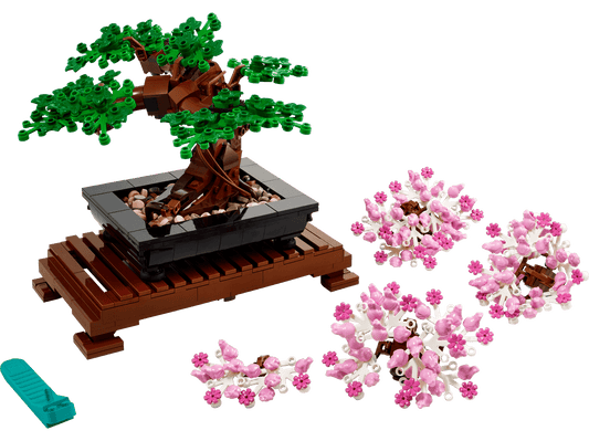 Botanical Collection Bonsai Tree