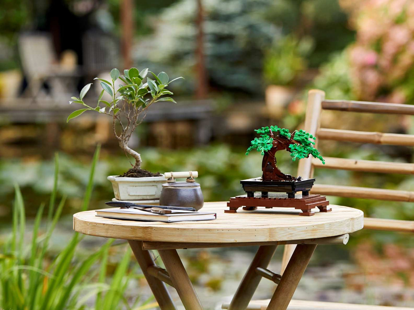 Botanical Collection Bonsai Tree