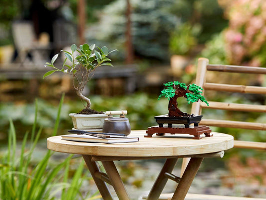 Botanical Collection Bonsai Tree