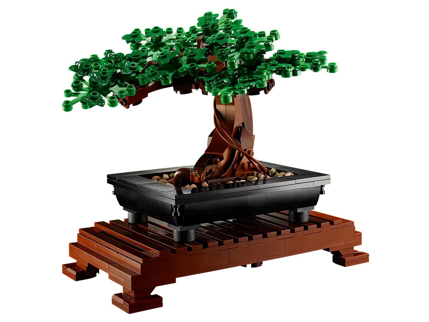 Botanical Collection Bonsai Tree