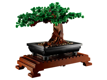 Botanical Collection Bonsai Tree