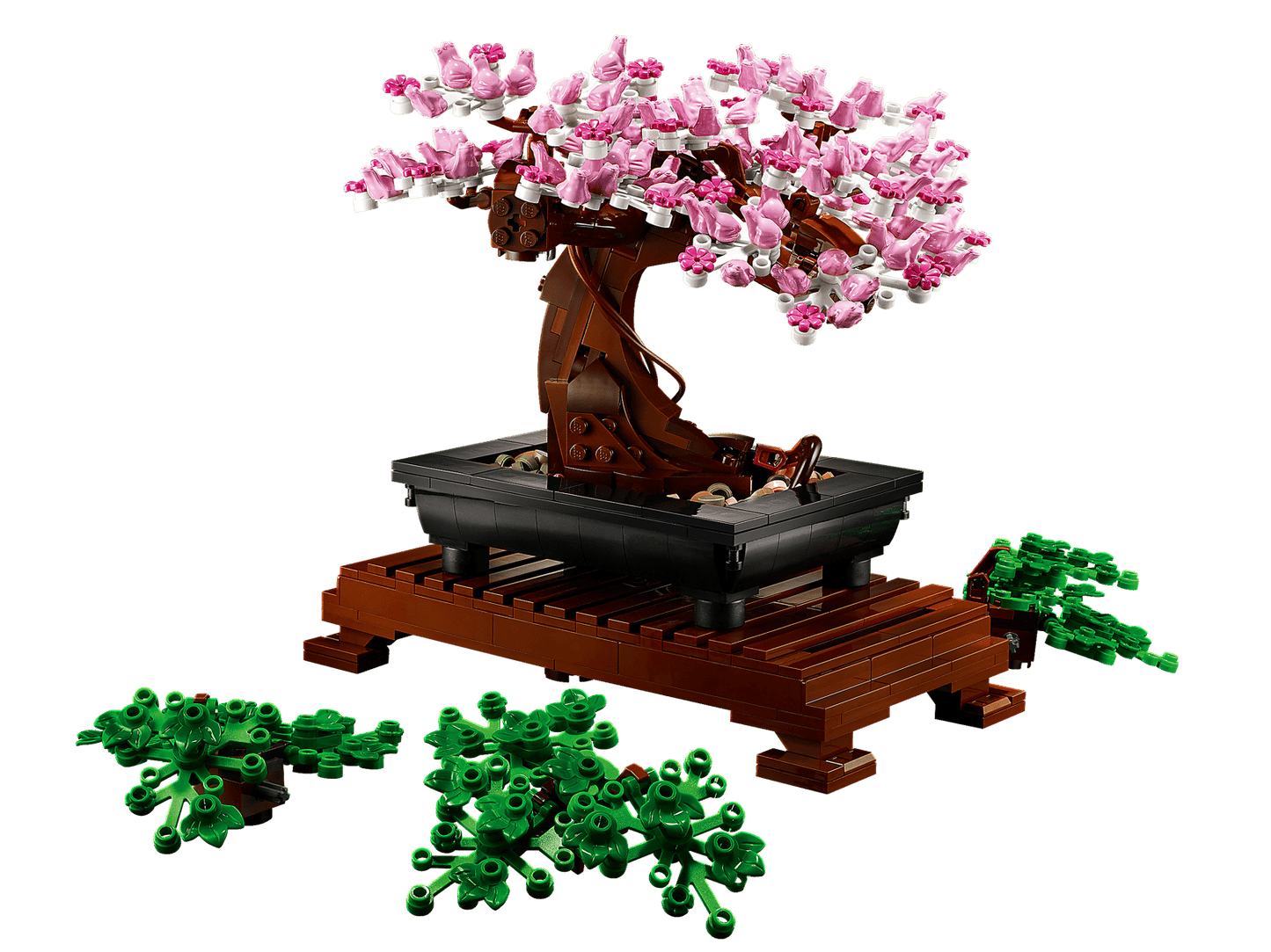 Botanical Collection Bonsai Tree