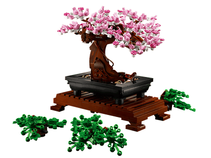 Botanical Collection Bonsai Tree