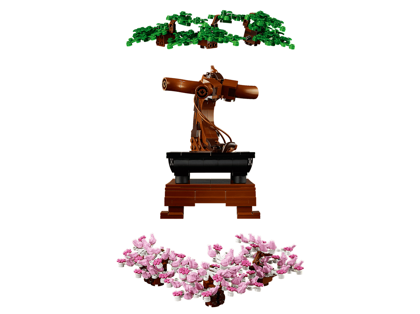 Botanical Collection Bonsai Tree