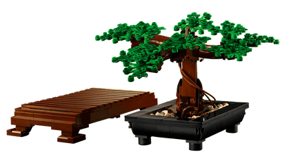 Botanical Collection Bonsai Tree