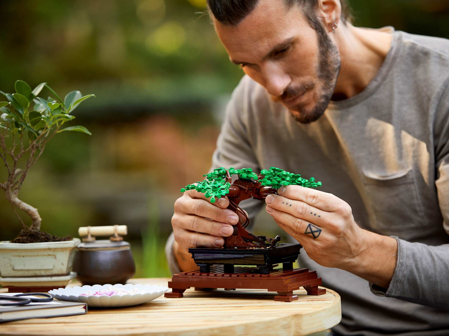 Botanical Collection Bonsai Tree