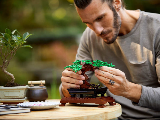 Botanical Collection Bonsai Tree