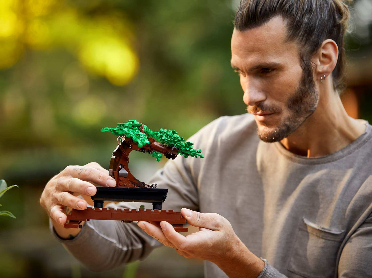 Botanical Collection Bonsai Tree