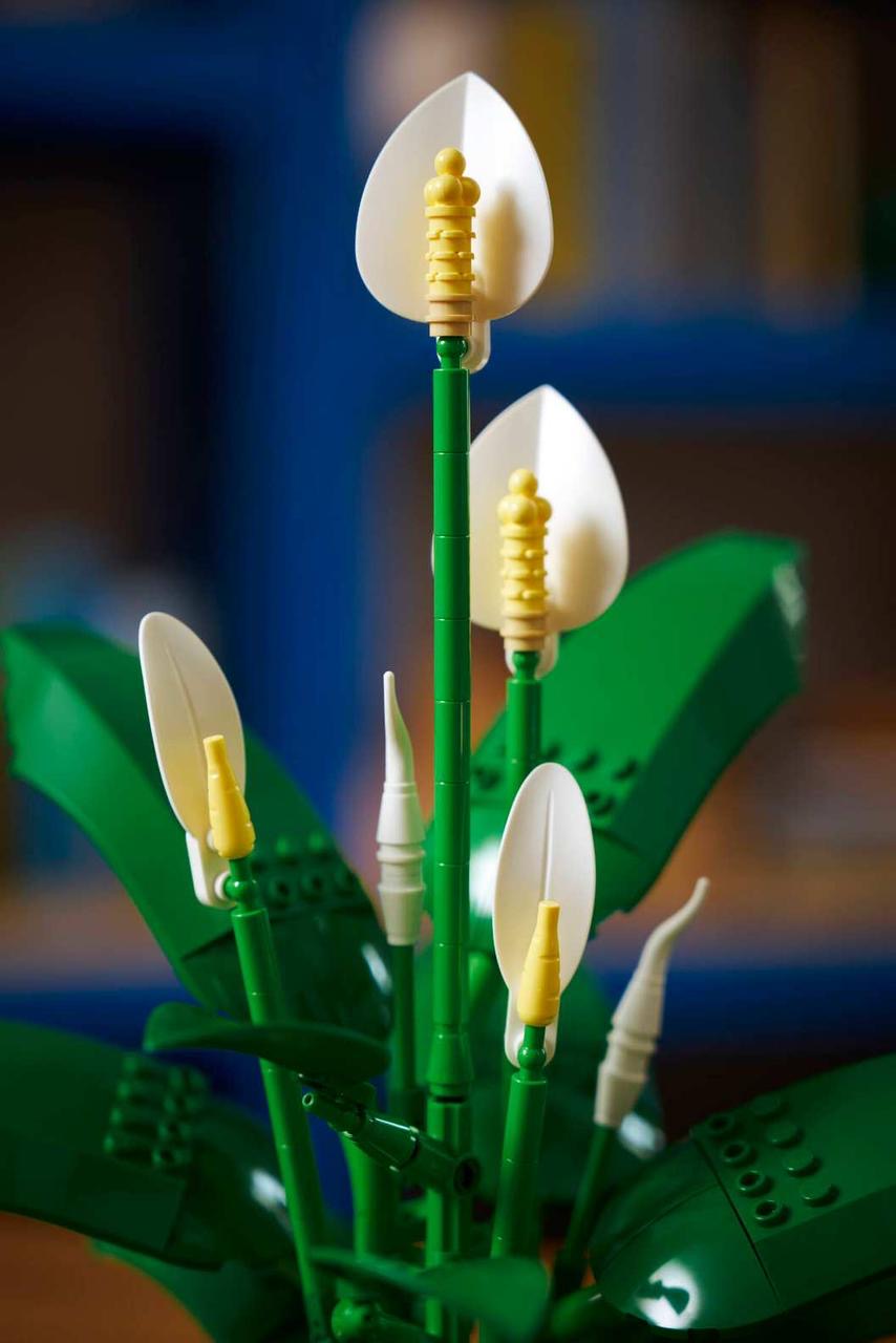 Icons Peace Lily