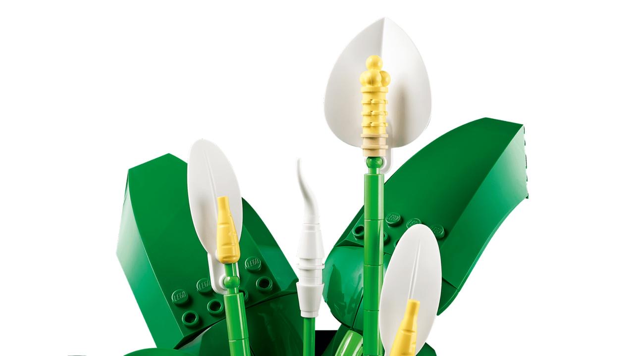 Icons Peace Lily