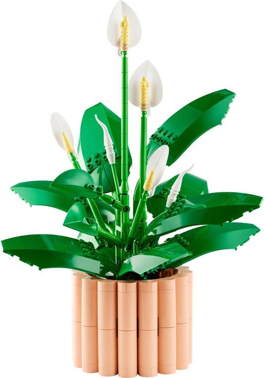 Icons Peace Lily